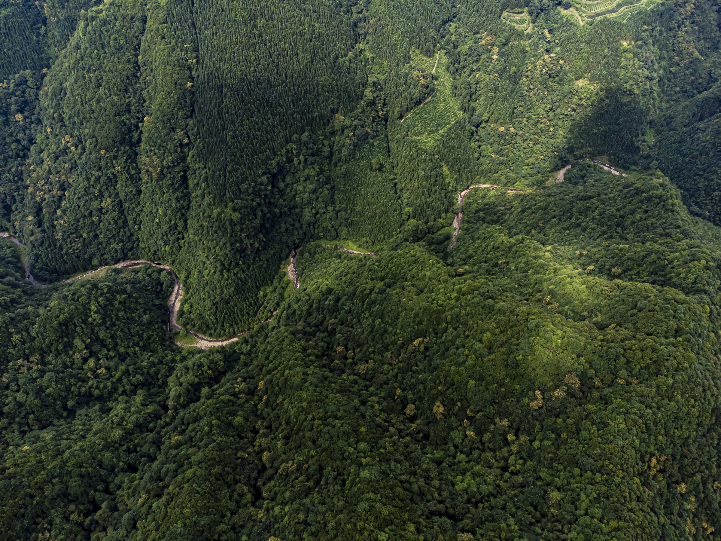 DJI_0006
