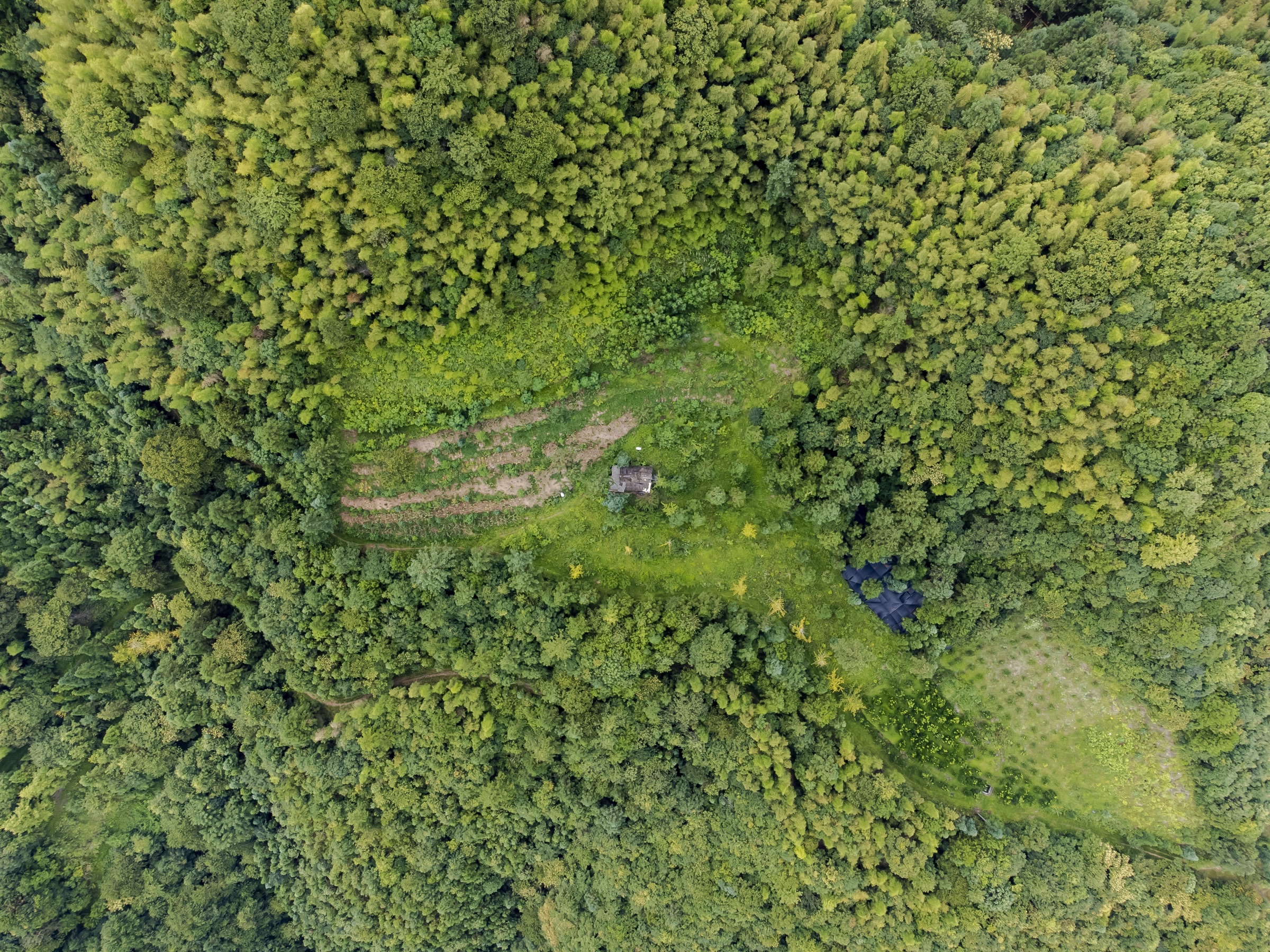 DJI_0979